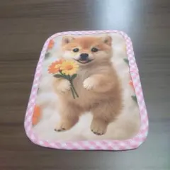 Item thumbnail for item c23e220e-f04f-4397-b3fc-6d42bcbdb326