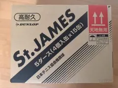 DUNLOP St.JAMES テニスボール 5ダース (60球)2箱 - メルカリ