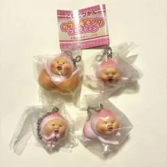 ⭐️値下げしました⭐️こびとづかん カクレモモジリ コレクション 4種セット
