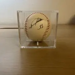 福岡ソフトバンクホークス 山川穂高 直筆サインボール 宮崎キャンプ