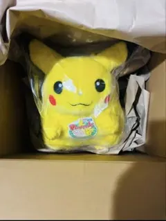 ポケットモンスター ポケモン30周年記念 おかえり！ピカチュウ1/1