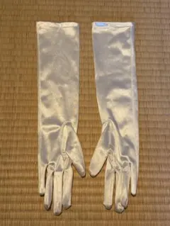 Item thumbnail for item b62a39c5-1f0a-433c-b12d-0a41f7043dcb