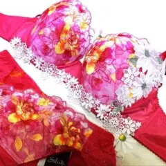 新品・タグ付き☆ワコール☆サルート☆５１Ｇ・南アフリカ☆ＳＧ☆Ｆ７５＆ショーツＬ