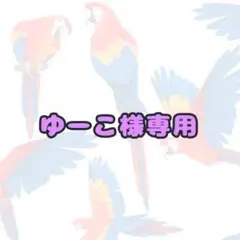 ゆーこ様専用