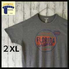アメリカ古着　半袖Tシャツ　PRO EDGE　２XL　プリントGatorsグレーのサムネイル