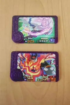 ポケモンフレンダ スーパートレジャー 2枚セット ジガルデ エンブオー