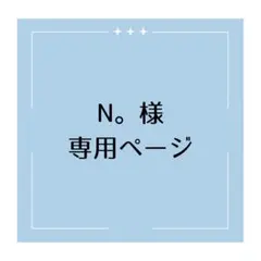 N。様専用ページ