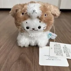 しろたん 4点セット