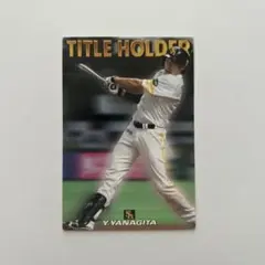 プロ野球 カード 柳田悠岐 福岡ソフトバンクホークス