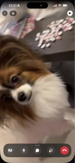 あねらちお