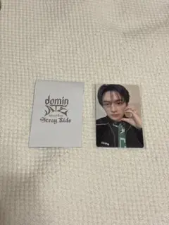 Stray Kidsスキズ dominATE 1万円購入 特典 トレカ リノ