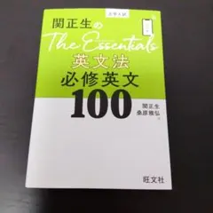関正生のThe Essentials 英文法 必修英文100