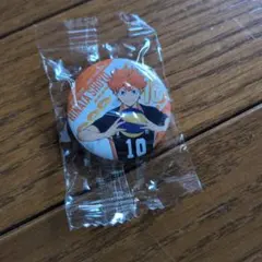 ハイキュー　日向翔陽 缶バッジ