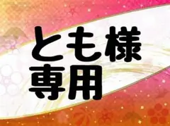 【とも様専用ページ】Polo Ralph Laurenエコバッグ 2点セット