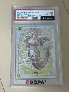 2026年最新】しらほし psa10の人気アイテム - メルカリ