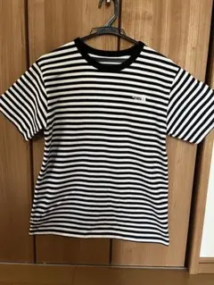 THE NORTH FACE ストライプ Tシャツ 半袖