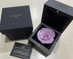 Item thumbnail for item c872e2ea-ca65-4f6a-8a92-7a35b9efaba9