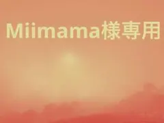 Miimama様専用 花より男子2 オリジナル・サウンドトラック