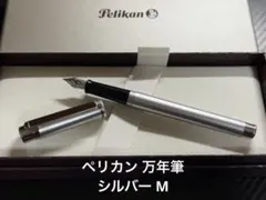 極美品 ペリカン ペリカーノ シルバー F 細字 万年筆 極美品 ペリカン ペリカーノ シルバー F 細字 万年筆 - メルカリ