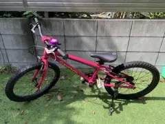 引取限定近隣応相談 岐阜県 ヨツバサイクル 24インチ レッドキッズ