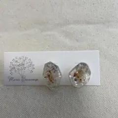 ✳︎ハンドメイド✳︎レジンピアス✳︎