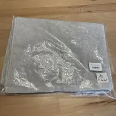 Item thumbnail for item c2687921-caaf-44bc-833a-919bf8f35bad