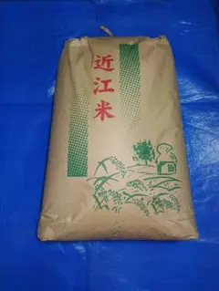 はえぬき米 無消毒種籾20kg 7年産 - メルカリ
