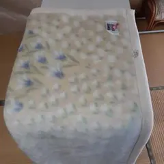 Item thumbnail for item f64ee8e3-9053-41db-a763-71008273014e