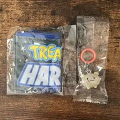 TREASURE TRUZ ハルト RURU ポーチ めじるしアクセサリー