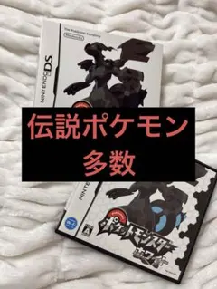 ポケモン　ポケットモンスター ホワイト ニンテンドーDS