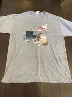古着 90年代 JERZEESグレーTシャツ　メンズ　ヴィンテージ　XL