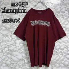 古着 Champion 半袖 3XL Tシャツ チャンピオン 海外古着 大きめ