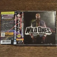 【FLO RIDA】WILD ONES
