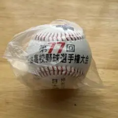 第77回 高校野球 甲子園 記念ボール 日大藤沢高校