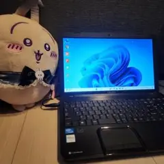 Item thumbnail for item 7cd14598-0e12-481f-9604-655c7ca5a8e6