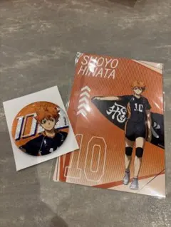 ハイキュー　日向翔陽　2点セット 缶バッジ 〜挑戦者たち〜 オーロラ Ver.