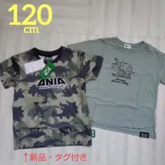 【新品あり】 アニア 恐竜柄 迷彩Tシャツ 120cm シール付き 2枚セット