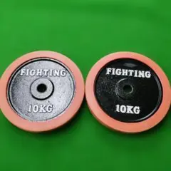 FIGHTING ダンベルプレート 10kg 2枚セット スタンダードタイプのサムネイル
