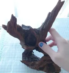 NORIKO様 リクエスト 2点 まとめ商品