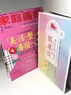 美品　家庭画報　2026年2月号　臨時増刊　付録開運法　27×21cm 小さい版