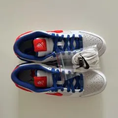 未使用Nike Dunk Low Year of the Rabbit 兎ダンク