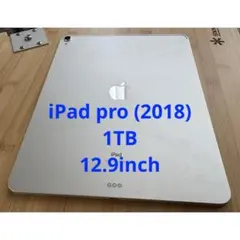iPad pro 本体 1TB 12.9インチ RAM6GB シルバー