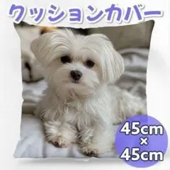 Item thumbnail for item b5607fe4-1682-450e-a7b9-06eaa29aa839