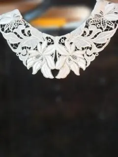 花柄レースつけ襟 ブラックベルベットドレス