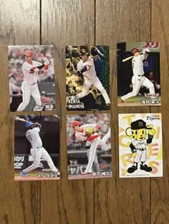プロ野球 カルビー トレーディングカード 6枚セット