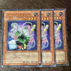 パペットプラント