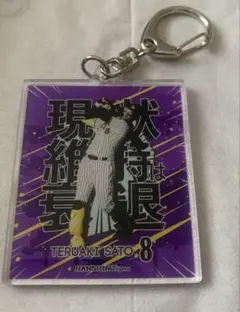 Item thumbnail for item 06f82bb2-e3fe-441f-9820-4bd448dc750e