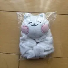 NCT DREAM ジェノ DREAMIEZ ぬいぐるみシュシュ jjed - メルカリ