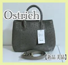極美品✨定価23万 オーストリッチ 2WAYハンドバッグ 結婚式 グレーのサムネイル