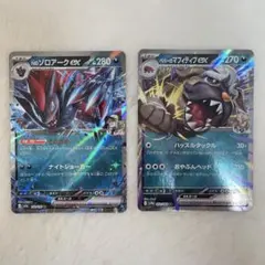 Nのゾロアークex ペパーのマフィティフexRR